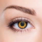 Twilight Bella Contact Lenses