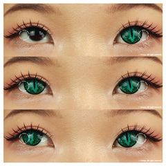 One Tone Green Lizard