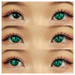 One Tone Green Lizard