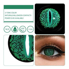 One Tone Green Lizard