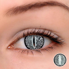 Silver Lizard Eye