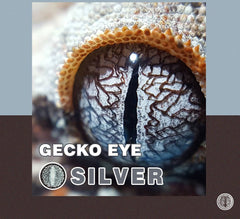 Silver Lizard Eye