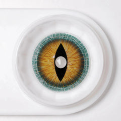 17mm Brown Lizard Mini Sclera Contacts
