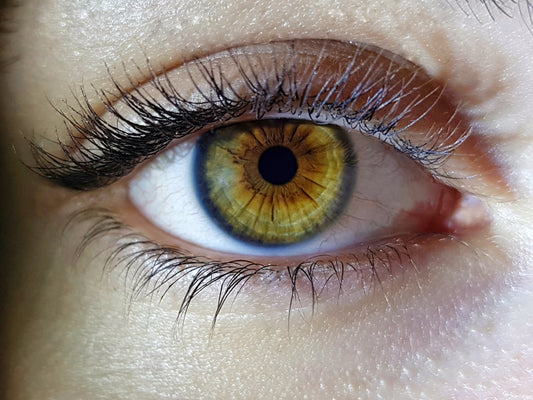 New Year, New Look: Top Coloured Contact Trends for 2025