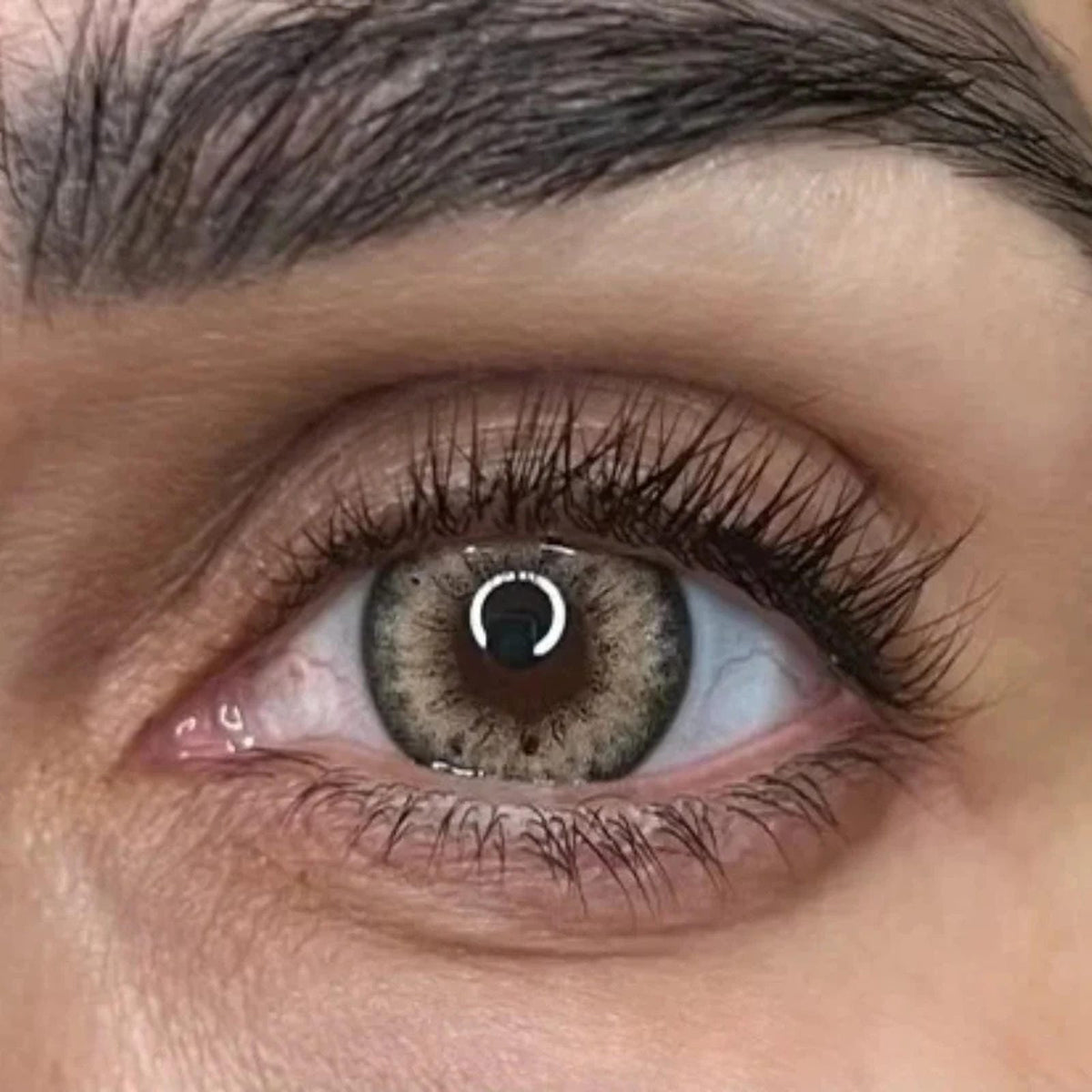 3 Tone FreshTone Lantana Hazel