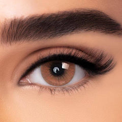 Freshtone Bronze