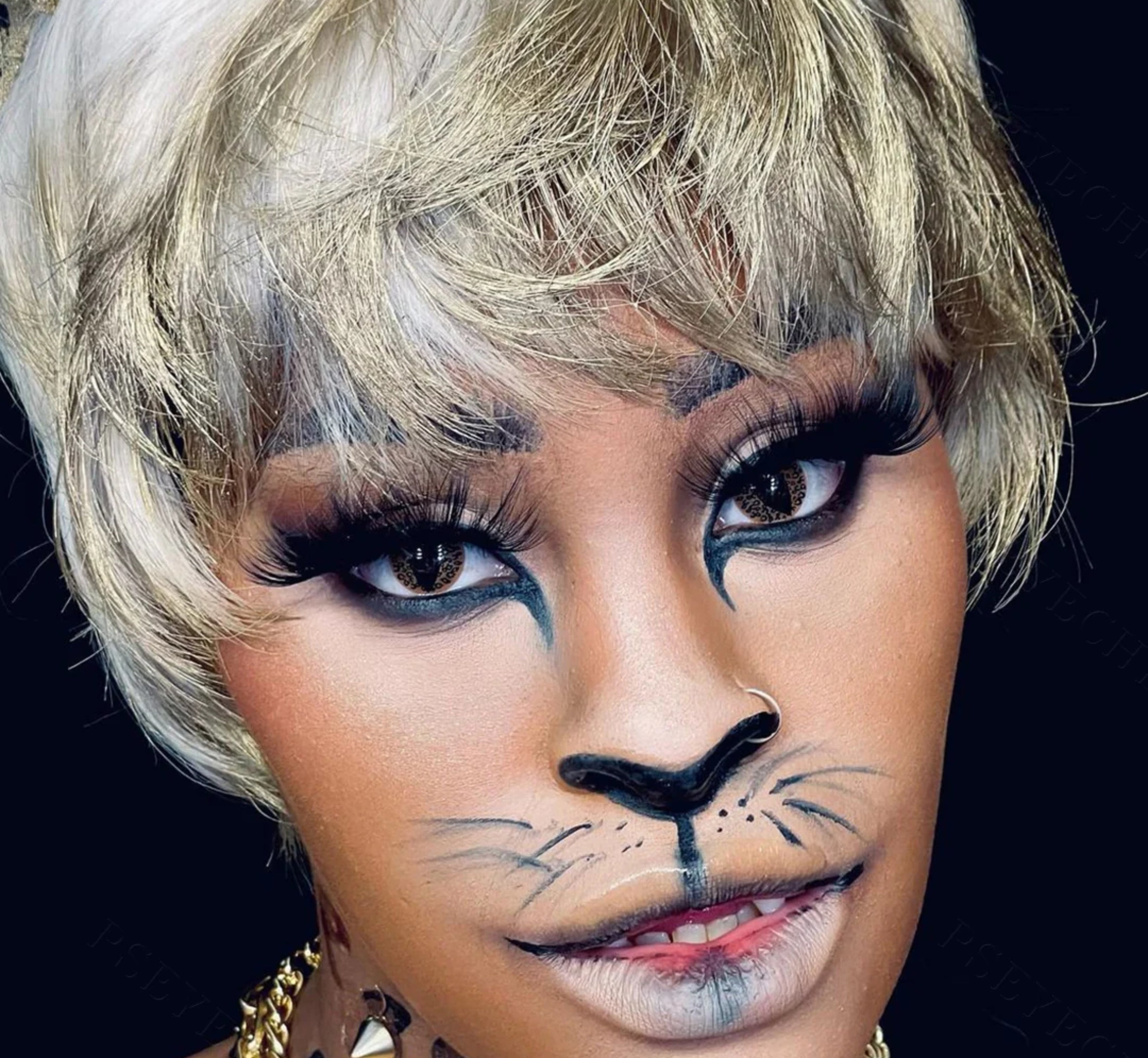 Brown Cheetah