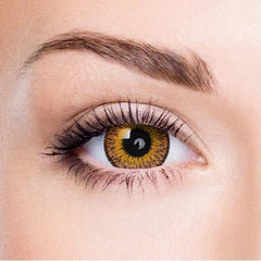 Brown Eye to Eye