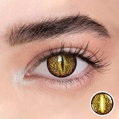 Brown Lizard Eye