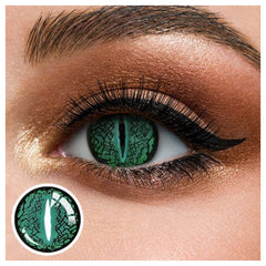 One Tone Green Lizard