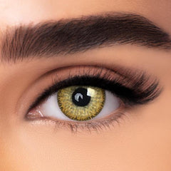 Premium Hazel