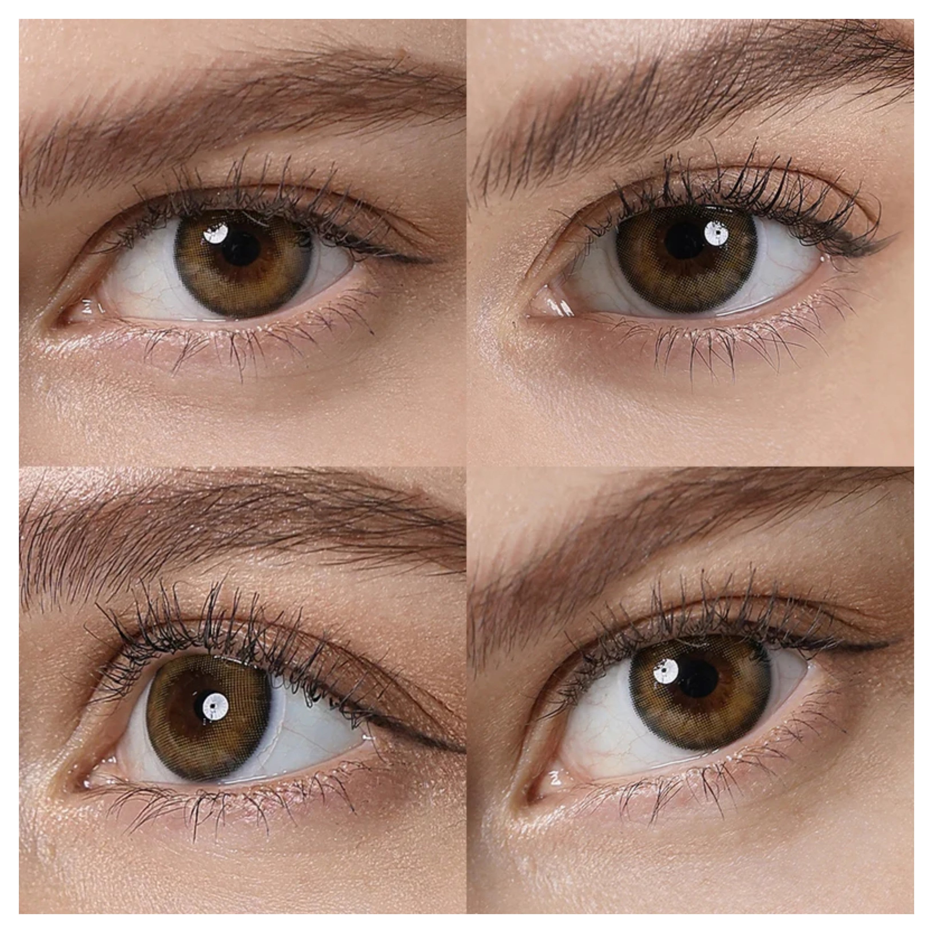 Pro Hazel Freshgo Coloured Contacts