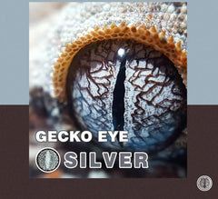 Silver Lizard Eye
