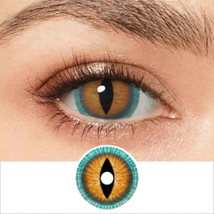 17mm Brown Lizard Mini Sclera Contacts