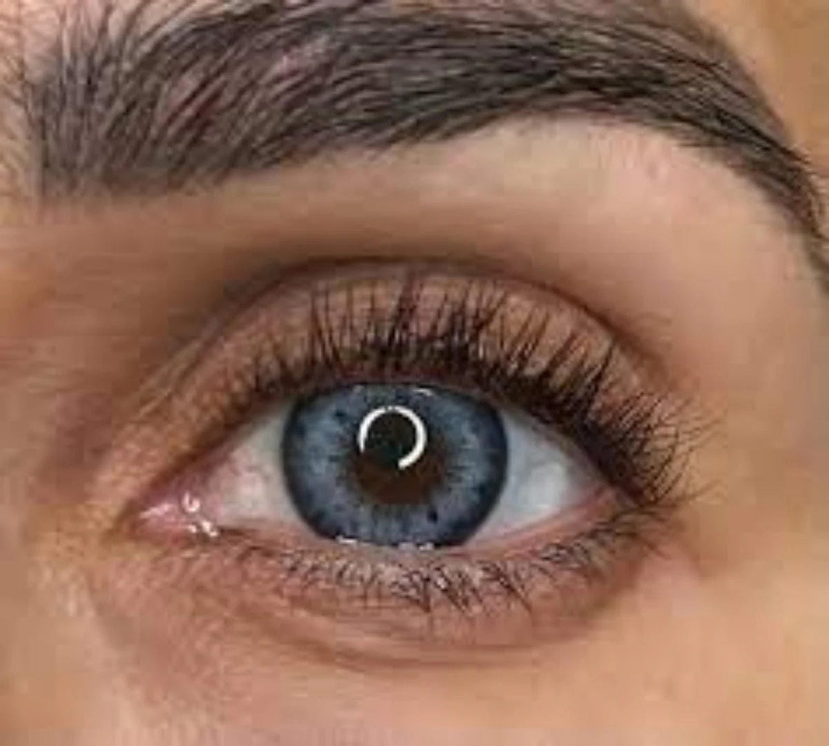 3 Tone FreshTone Lantana Blue