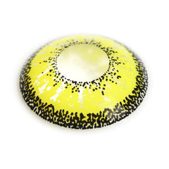 Dolly Yellow